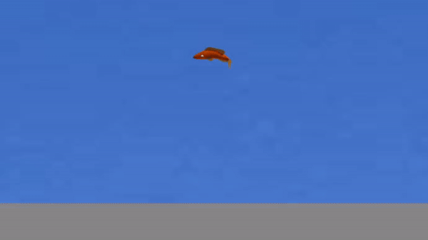 Fish preview image